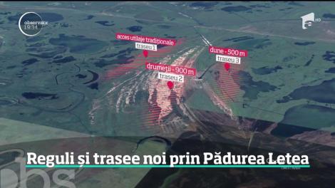 Vestita pădure Letea, un spaţiu magic din Delta Dunării, are noi reguli de vizitare