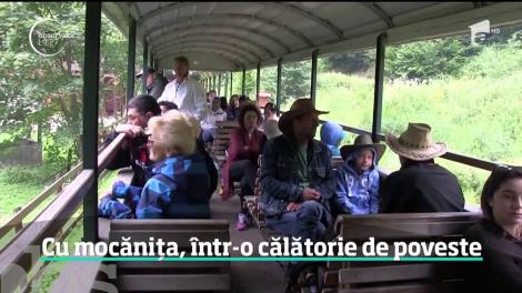 Plimbările în natură cu mocăniţa, adevărate obiective turistice. Uitate până de curând, vechile trenuri forestire sunt acum pline de turişti