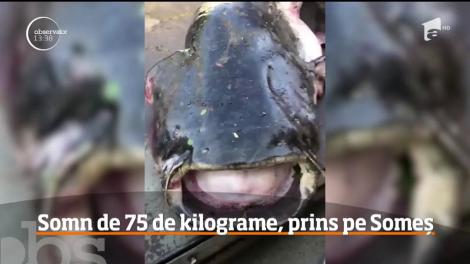 Un pescar din Satu Mare a reuşit să prindă o captură record