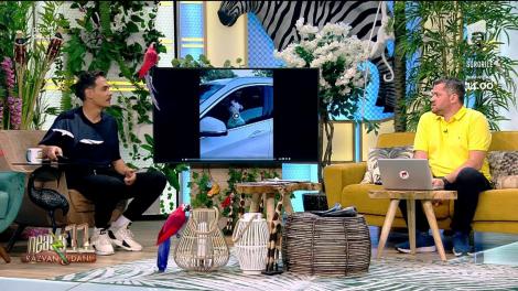 Smiley News - Neatza cu Răzvan și Dani. Așa face un câine care vrea un kebab!