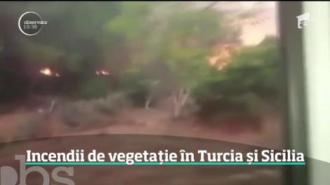 Incendii de vegetație în Turcia și Sicilia