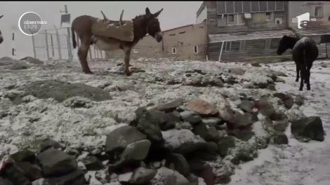 Deşi suntem în mijlocul verii, pe crestele munţilor ninge ca în prag de iarnă