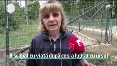 Turist atacat de urs în centrul staţiunii Predeal. Bărbatul a fost salvat de un câine