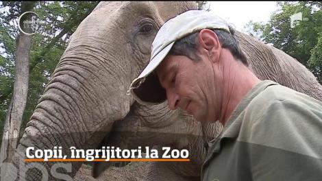 Copii, îngrijitori la Grădina Zoologică din Târgu Mureş