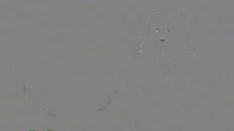 Zodiacul despre carieră şi bani, 15 iulie 2019