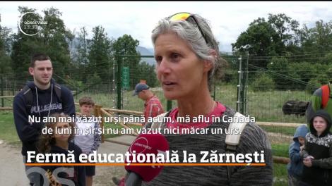 Animale domestice rănite, bolnave sau care urmau să fie sacrificate şi-au găsit o nouă menire