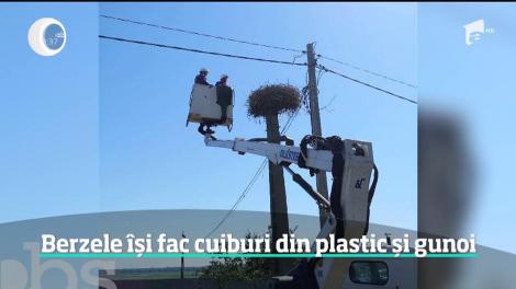 Nepăsarea oamenilor şi lipsa de educaţie pun în pericol până şi păsările. Un pui de barză a fost salvat la limită după ce a înghiţit un material periculos aruncat la întâmplare