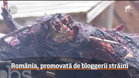 Bloggeri din toată lumea, chemați să promoveze România! Pălinca și vișinata le-au dat gata pe vedetele din mediul online