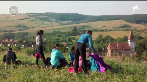 Natura, animalele, chiar şi oamenii din Transilvania sunt atracţia principală pentru sute de studenţi din toată lumea