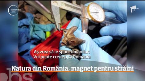 Natura din România, magnet pentru străini