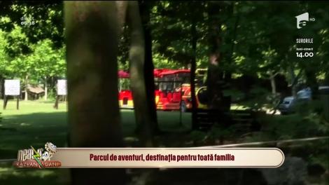 Neatza cu Răzvan și Dani. Parcul de Aventură Comana, destinația perfectă pentru toată familia