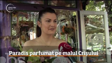 Parfum şi culoare pe malul Crişului, pentru toţi cei care preferă să stea cât mai mult timp în aer liber