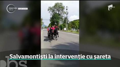 Situaţie tragicomică în România anului 2019. Salvatorii pleacă în misiuni pe munte cu şareta