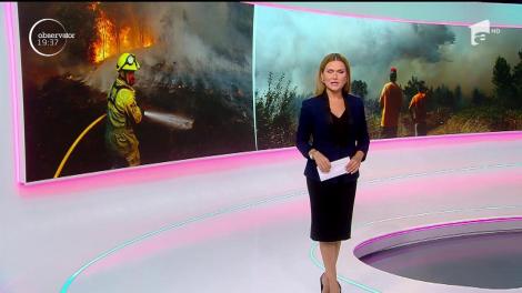 Un val de caniculă sahariană cuprinde Europa. Vacanțele sunt amenințate de incendii și temperaturi foarte ridicate