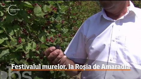 Sute de oameni s-au bucurat de festivalul murelor, la Roşia de Amaradia