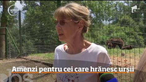 Autorităţile vor să-i amendeze pe cei care le dau de mâncare urșilor