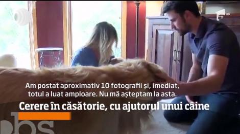 Cerere în căsătorie, cu ajutorul unui câine