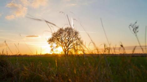 În Mangalița soarele răsare doar dacă vrea!