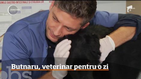 Valentin Butnaru a fost voluntar la un adăpost de câini. Cum s-a descurcat vedeta?