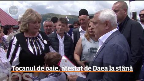 Aprig apărător al oieritului, ministrul Petre Daea nu se dezminte. A urcat personal la o stână de pe Transalpina ca să felicite o familie de ciobani