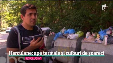Campania Observator:  Avem o țară frumoasă, cum ajungem la ea? - Herculane: ape termale și cuiburi de șoareci