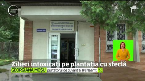 Zeci de persoane din Roman, printre care şi copii, au ajuns în stare gravă la spital după ce s-au intoxicat pe un teren plantat cu sfeclă