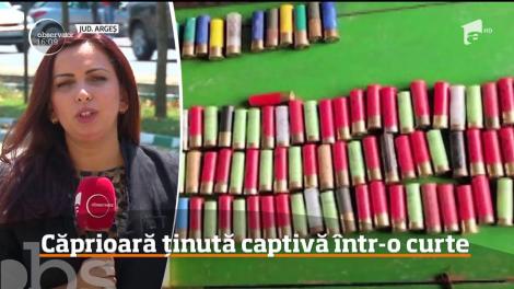 Un argeşean, cercetat penal pentru braconaj, avea în curte o căprioară pe care o ţinea pe post de animal de companie