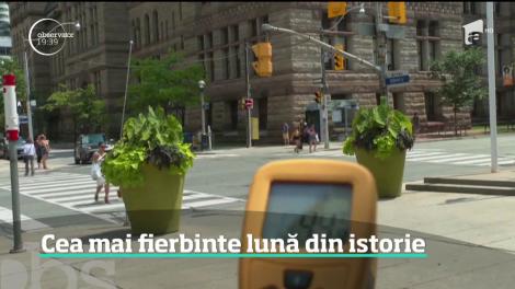 Iulie 2019, cea mai fierbinte lună din istoria Planetei! Experții: "Încălzirea globală va avea efecte catastrofale"