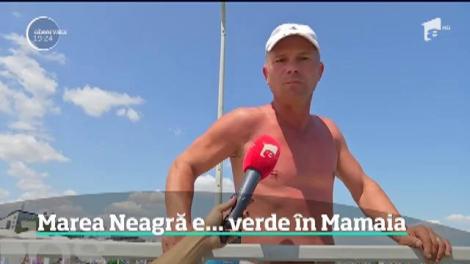 Marea Neagră a devenit verde. Un covor fosforescent i-a întâmpinat pe turişti la mal, pe o plajă aglomerată