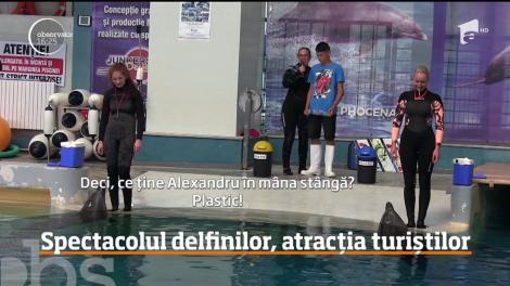 Delfinariul din Constanța, atracția turiștilor