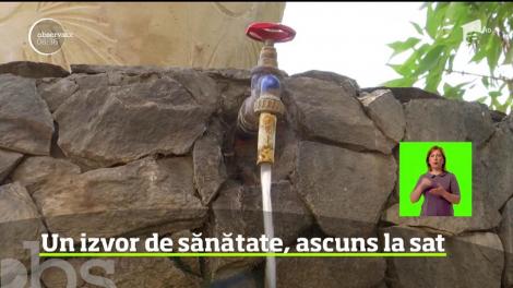 La câţiva kilometri de Timişoara, într-o comună, există un adevărat miracol al naturii