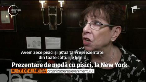 Prezentare de modă cu pisici, la New York