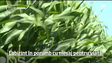 Un fermier din Wisconsin a creat un labirint în lanul de porumb pentru a veni în ajutorul oamenilor cu gânduri suicidale