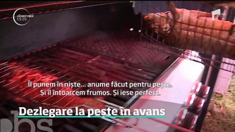 Dezlegare la peste în avans, în Ardeal