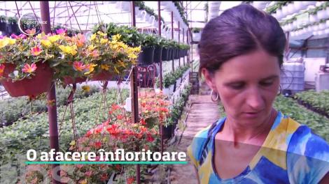 Plantaţia de flori, o afacere înfloritoare