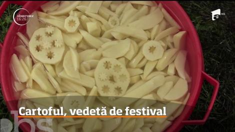 Zeci de rețete de tocăniţie din cartofi, la Festivalul Cartofilor din Miercurea Ciuc