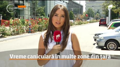 Vreme caniculară în mai multe zone din ţară