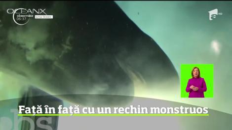 Un rechin gigant a fost filmat în apele insulelor Bahamas