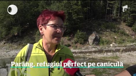 Munții Parâng, refugiul perfect pe caniculă