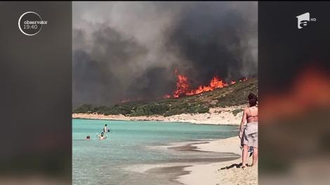 Incendii de vegetaţie fac ravagii în Europa. Cel mai mare incendiu se află lângă Atena, la Marathon