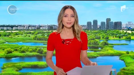 Delta Văcăreşti, oaza din mijlocul Capitalei