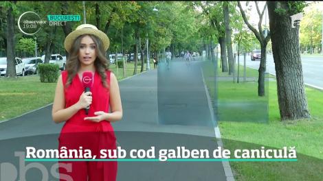 România, sub cod galben de caniculă