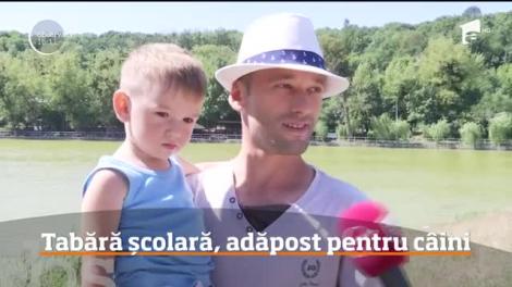 Singura tabăra şcolară din Iaşi zace în paragină şi nepăsare de ani de zile. Autorităţile locale dau din umeri şi spun că nu pot interveni