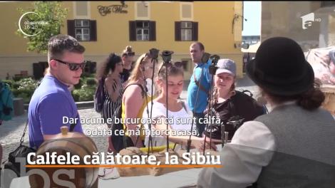 Calfele călătoare s-au întors la Sibiu! 25 de meşteşugari  vor practica meseriile de altădată, timp de o lună