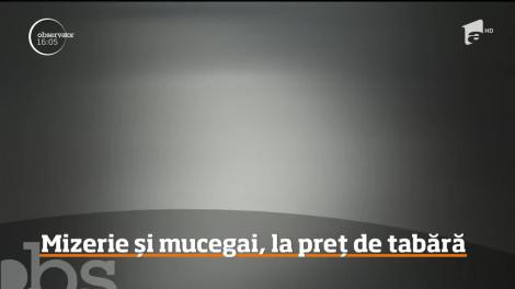 Condiţii inumane într-o tabără din staţiunea Neptun