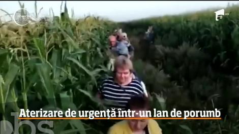 Aterizare de urgență într-un lan de porumb în Rusia. Avionul avea 233 de persoane la bord