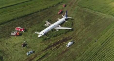Pilotul unui avion cu 233 de pasageri la bord a aterizat, la linie, într-un lan de porumb în Rusia. Imaginile sunt virale