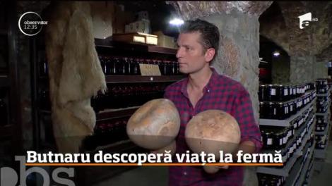 Valentin Butnaru, fermier pentru o zi