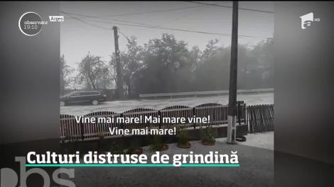 Un fenomen bizar a împărţit în două anotimpuri o localitate din Argeş. După o zi caniculară a plouat cu gheaţă!