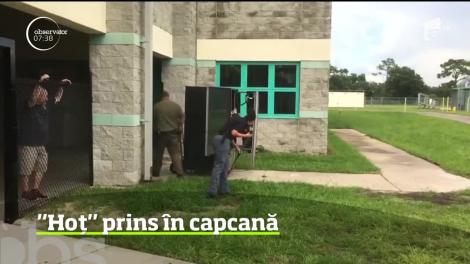 SUA: un raton înfometat a rămas blocat într-un automat de mâncare